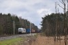 Vectron 383 401